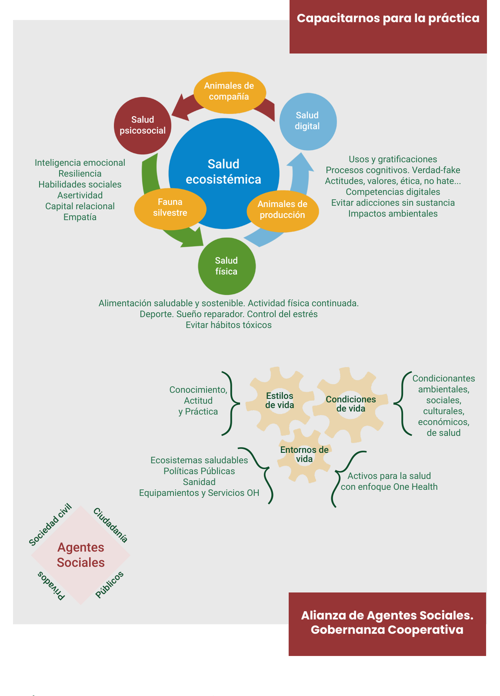 Infografía sobre activos para la salud One Health, que relaciona la salud ecosistémica, psicosocial, física y digital con los entornos de vida y la alianza de agentes sociales.